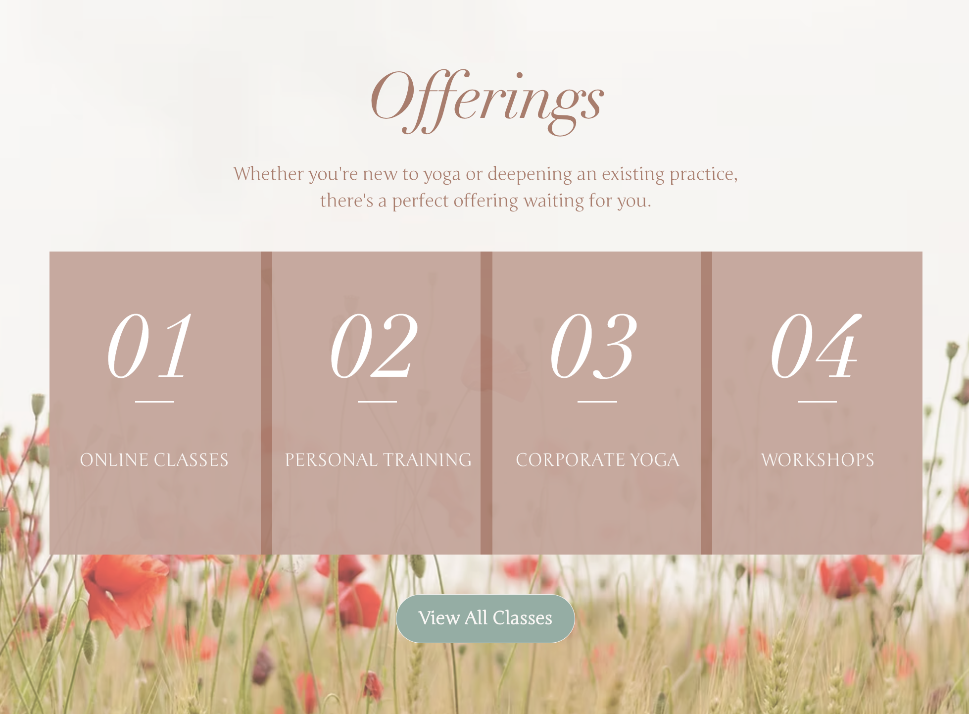 Hayoga website offerings section